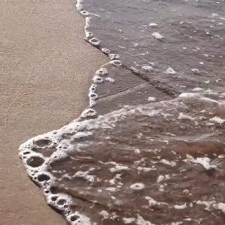 Calvi ♡
#Corse #calvi #corsica #contemplation #laboiteasouvenirs #vacances #plage #beachvibes #corsicanlife #corsicanlandscapes #igerscorsica #visitcorsica #balagnetourisme #balagne #francetourisme